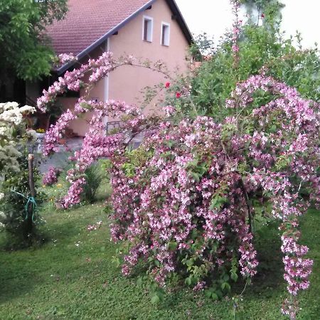Apartment Tomasevic Slunj Bagian luar foto