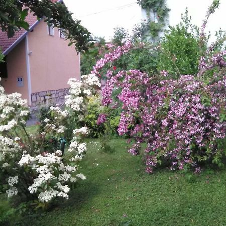 Apartment Tomasevic Slunj Bagian luar foto