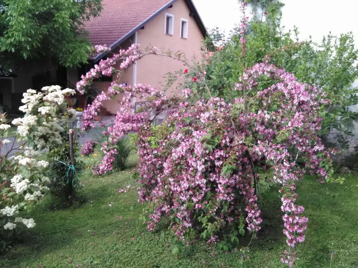 Apartment Tomasevic Slunj Bagian luar foto