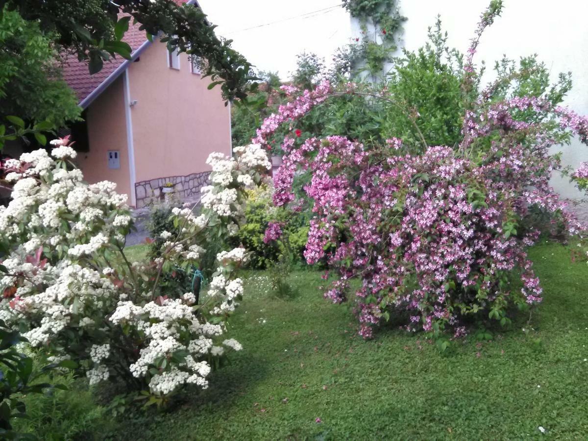 Apartment Tomasevic Slunj Bagian luar foto